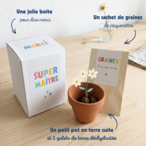 cadeau fin année maitre école