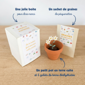 cadeau maitresse école