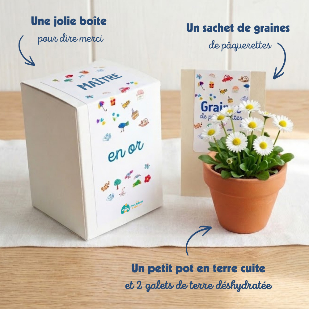 cadeau maître école
