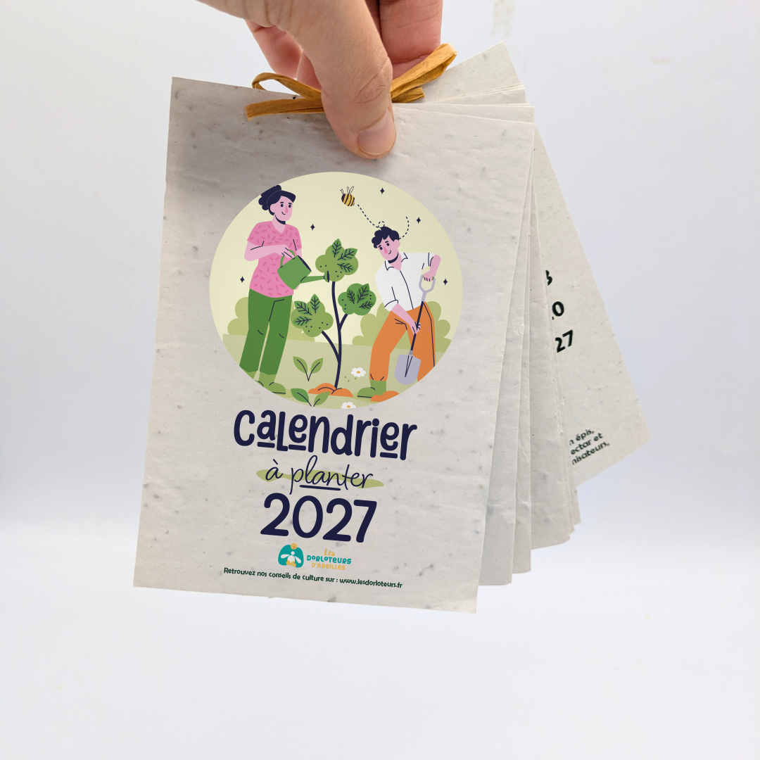 Calendrier 2027 à planter – Image 4