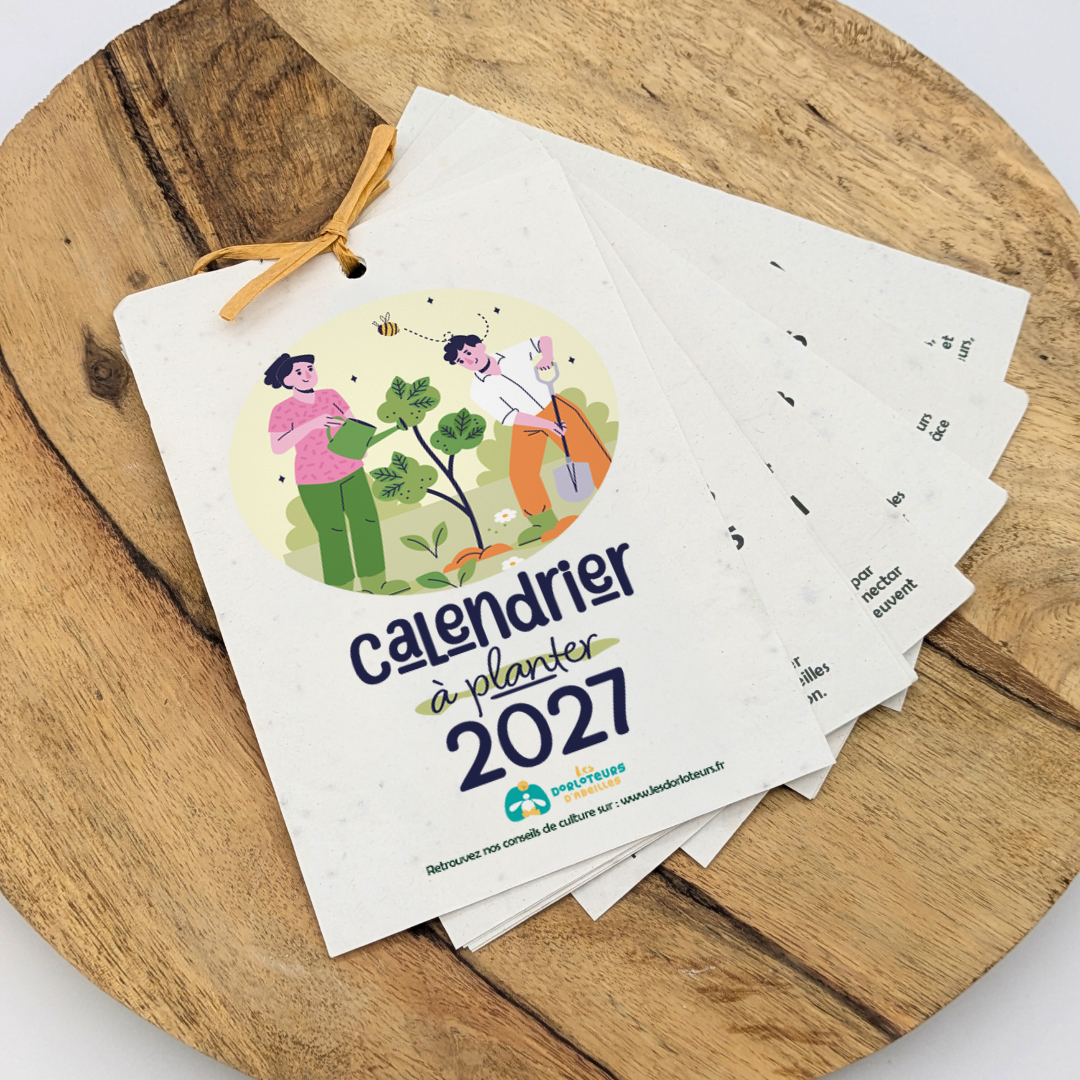 Calendrier 2027 à planter – Image 5